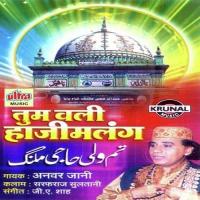 Haji Malnag Shah Dape Tumhare Anwar Jani Song Download Mp3