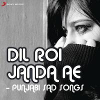 Dil Roi Janda Ae - Punjabi Sad Songs songs mp3