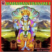 Om Shree Krishna Devaay Namah Anita Song Download Mp3