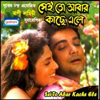Desh Bideshe Jekhane Jai Kavita Krishnamurthy Song Download Mp3