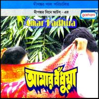 Amar Niswase Tumi Kavita Krishnamurthy Song Download Mp3