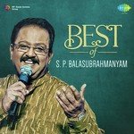 Best Of S.P. Balasubrahmanyam - Hindi songs mp3
