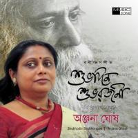 Jokhon Tumi Bandhchiley Taar Anjana Ghosh Song Download Mp3