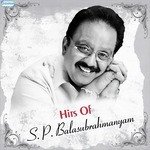 Jaan Tum Ho Meri S.P. Balasubrahmanyam,Anupama Deshpande Song Download Mp3