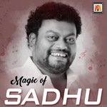 Magic of Sadhu songs mp3