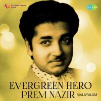 Manjilayil Mungi Thurthi (From "Kalithozhan") P. Jayachandran Song Download Mp3