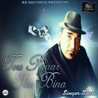 Tere Pyaar Ton Bina Shahi Song Download Mp3