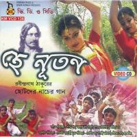 Nil Digante Rabindranath Thakur Song Download Mp3