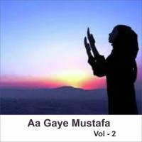Shahe Kaunen Jalwah Numa Ho Gaya Ahmed Raja Qadri Song Download Mp3