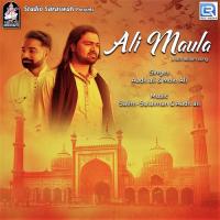 Ali Maula Aadil Ali,Moin Ali Song Download Mp3