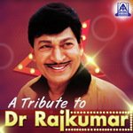 Kannadada Kuvaranu (From "Gadibidi Aliya") Dr. Rajkumar,Rajesh Krishnan Song Download Mp3