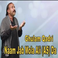 Naam Jab Mola Ali (As) Da Ghulam Qadri Song Download Mp3