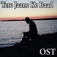 Tere Jaane Ke Baad Shafqat Amanat Ali Song Download Mp3