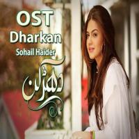 Dharkan  Sohail Haider Song Download Mp3