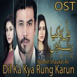 Dil Ka Kya Rung Karun Nabeel Shaukat Ali Song Download Mp3