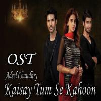 Kaisay Tum Se Kahoon Adeel Chaudhry Song Download Mp3