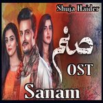 Sanam Shuja Haider Song Download Mp3