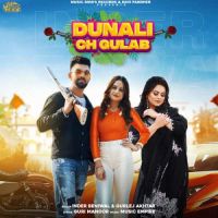 Dunali Ch Gulab Gurlej Akhtar,Inder Beniwal Song Download Mp3