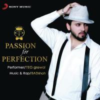 Passion for Perfection songs mp3