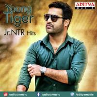 Young Tiger Jr. NTR Hits songs mp3