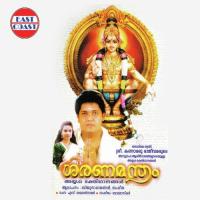 Azhuthayum Pambayum Biju Narayanan Song Download Mp3