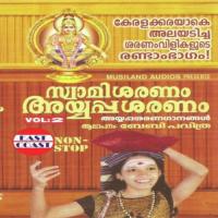 Swamisaranam Ayyappasaranam Vol-2 songs mp3