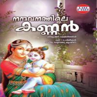 Nandavanathile Kanna Rajan Song Download Mp3