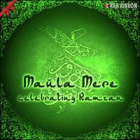 Maula Mere- Celebrating Ramzan songs mp3