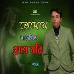 Tumay Na Dekhile Prane More Shanto Song Download Mp3