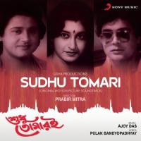 Sudhu Tomari Shibaji Chatterjee,Ajoy Das,Sreeradha Banerjee Song Download Mp3
