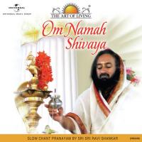Om Namah Shivaya (English Version) songs mp3