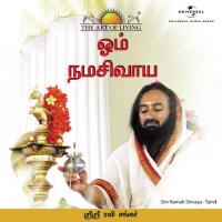 Om Namah Shivaya (Tamil Version) songs mp3