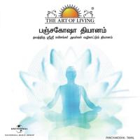 Panchakosha (Tamil Version) Sri Sri Ravi Shankar Song Download Mp3