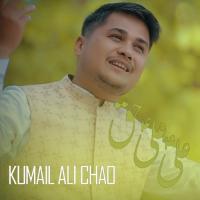 Ali Ali Haq Ali Ali Kumail Ali Chao Song Download Mp3