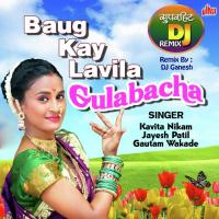 Baug Kay Lavila Gulabacha songs mp3