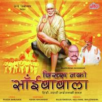 Visru Nako Sai Babala songs mp3