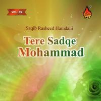 Tere Sadqe Mohammad, Vol. 35 songs mp3