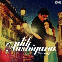 Tera Hone Laga Hoon (From "Ajab Prem Ki Ghazab Kahani") Atif Aslam,Alisha Chinai Song Download Mp3