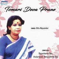 Ami Aloke Porite Nila Majumder Song Download Mp3