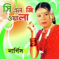 Ami Tore Valobashi Nargis Aktar Song Download Mp3