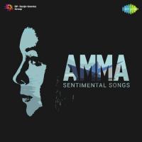 Amma Amma Ani (From "Vichitra Bandham") P. Susheela Song Download Mp3