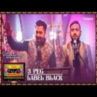 3 Peg And Label Black Gupz Sehra,Sharry Maan Song Download Mp3