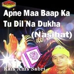 Apne Maa Baap Ka Dil Na Dukha Rais Anis Sabri Song Download Mp3