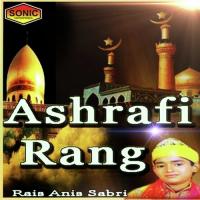 Jise Dekho Mohabbat Ka Khuda Hai Rais Anis Sabri Song Download Mp3