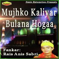 Suno Ganje Shakra Ke Lal Meri Jholi Bhardo Rais Anis Sabri Song Download Mp3