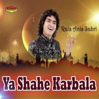 Kab Se Zainab Tumhe Rais Anis Sabri Song Download Mp3