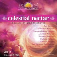 Celestial Nectar - The Art Of Living, Vol. 1 songs mp3