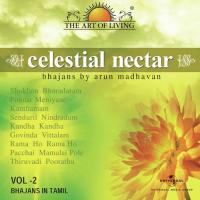 Celestial Nectar - The Art Of Living, Vol. 2 songs mp3