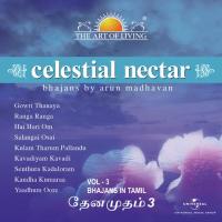 Celestial Nectar - The Art Of Living, Vol. 3 songs mp3