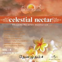 Celestial Nectar - The Art Of Living, Vol. 4 songs mp3